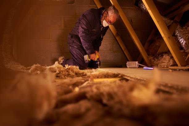 Best Specialty Insulation in Coal City, WV